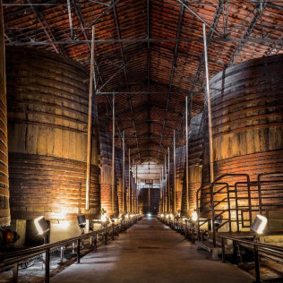 Visite Gourmande de la Cave avec Dégustation de Vin pour deux aux Terres des Templiers (Banyuls-sur-Mer - 66)