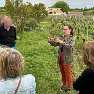 Visite d’un Vignoble Familial Biologique près de Bordeaux avec Dégustation (Yvrac, Gironde- 33)
