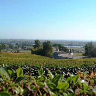 Croisière commentée sur la Garonne  avec Dégustation de Vins pour deux (Saint-Michel-de-Fronsac, Gironde - 33)