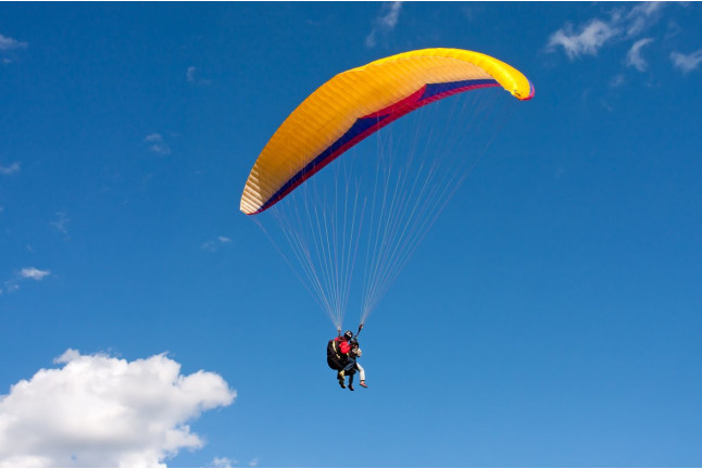 Vol d'Été en Parapente (La Plagne, Savoie - 73)