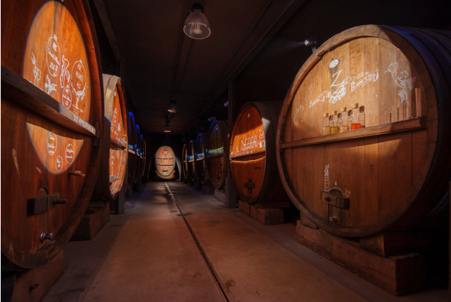 Dégustation de Vins, Visite de Cave et Repas Alsacien (Gertwiller, Bas-Rhin - 67)
