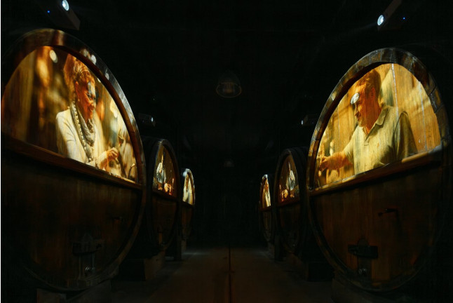 Dégustation de 5 Vins et Visite de Cave Immersive (Gertwiller, Bas-Rhin - 67)