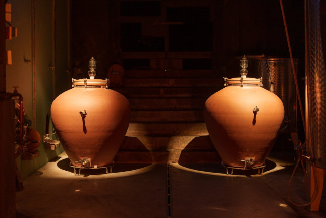 Dégustation de Vins, Visite de Cave et Repas Alsacien (Gertwiller, Bas-Rhin - 67)