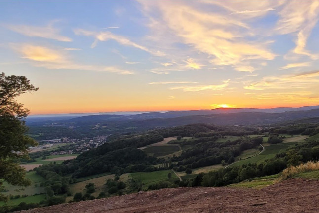 Soirée Randonnée au Coucher du Soleil avec Dégustation de Jus de Raisin pour deux (Saint-Alban, Ain - 01) 