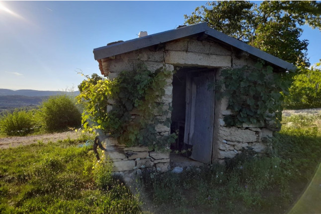 Soirée Randonnée au Coucher du Soleil avec Dégustation de Jus de Raisin pour deux (Saint-Alban, Ain - 01) 