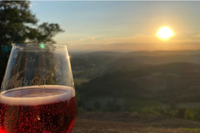 Soirée Randonnée au Coucher du Soleil avec Dégustation de Jus de Raisin (Saint-Alban, Ain - 01) 