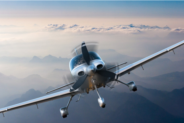 Survol de Nantes et de ses alentours en Avion Privé pour deux (Loire-Atlantique - 44)