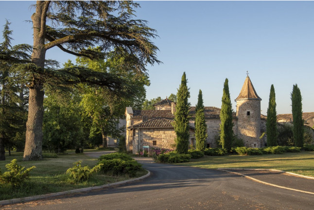 Séjour dans le Château du XVII avec un Accès au Spa au Domaine de la Durantie (Castelnau-de-Montmiral, Tarn - 81)