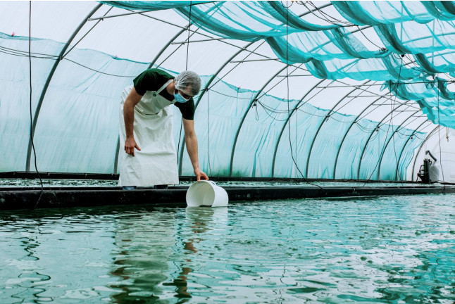 Atelier de Récolte de Spiruline avec Dégustation (Villeneuve d'Ascq, Nord - 59)