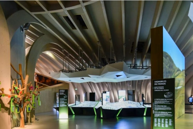 Billets pour La Cité du Vin : entrée rapide (Bordeaux - 33)