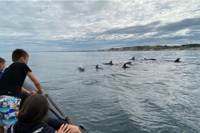 Excursion "Espagnole" en Bateau (Saint-Jean-de-Luz, Pyrénées-Atlantiques - 64)