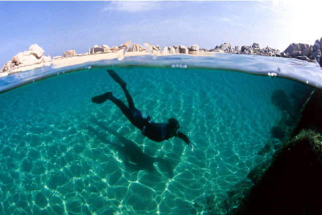 Classe Découverte de Plongée et Snorkeling (Bonifacio, Corse-du-Sud - 20)