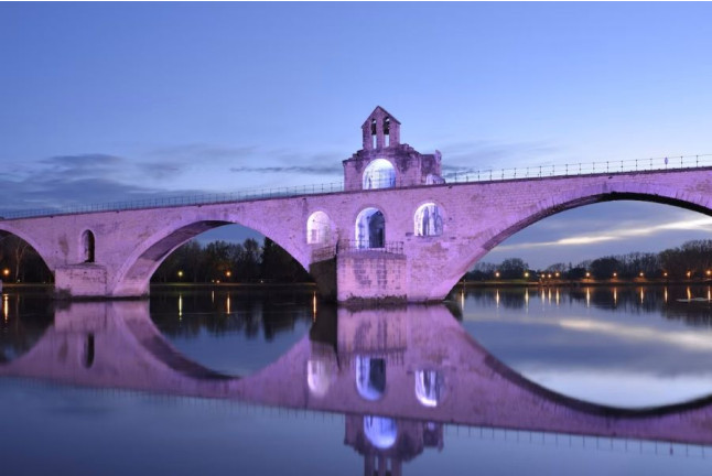 Billets pour Palais des Papes & Pont d'Avignon (Avignon - 84)