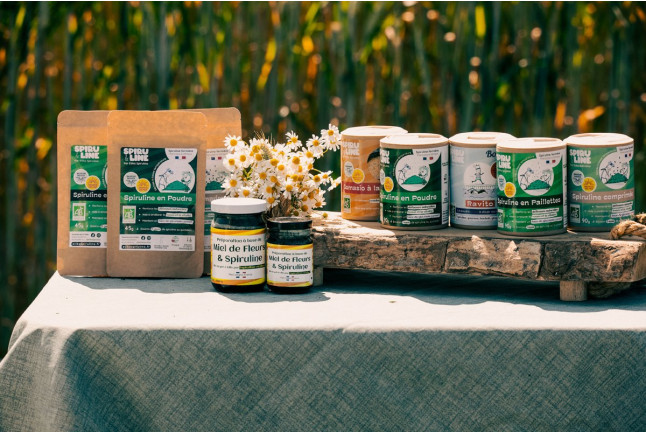 Atelier de Cuisine autour de la Spiruline Fraîche (Villeneuve d'Ascq, Nord - 59)