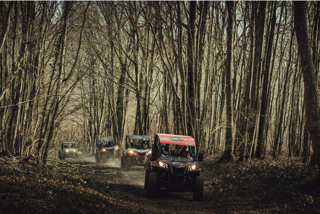 Randonnée en Buggy pour une ou deux personnes (La Ferté Gaucher, Seine-et-Marne - 77)