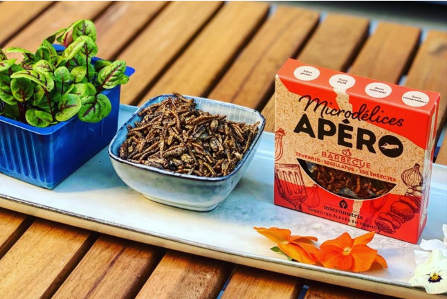 Apéro à Base d’Insectes Comestibles (Paris, Île-de-France - 75)