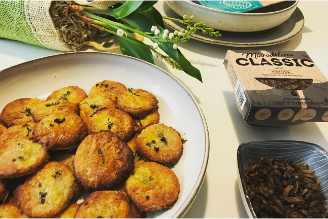 Apéro à Base d’Insectes Comestibles (Paris, Île-de-France - 75)