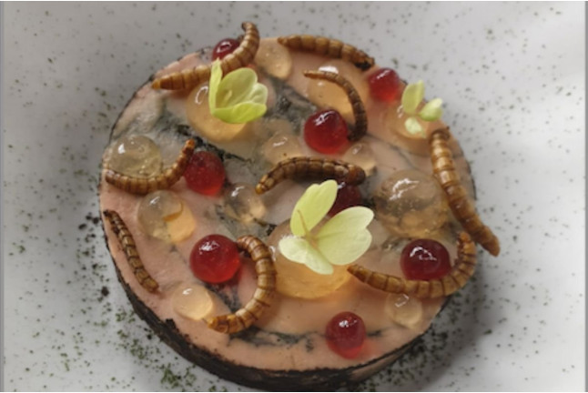 Apéro à Base d’Insectes Comestibles (Paris, Île-de-France - 75)
