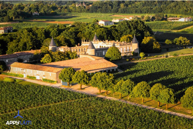 Baptême de l'Air et Vol d'Initiation en ULM en Gironde (Les Artigues-de-Lussac - 33) 