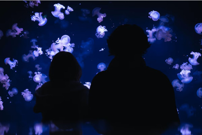 Billets d'entrée pour l'Aquarium de Paris (Paris, Île-de-France - 75) 