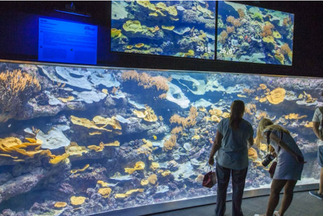 Billets d'entrée pour l'Aquarium de Paris (Paris, Île-de-France - 75) 