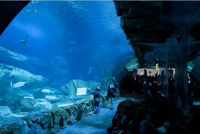Billets d'entrée pour l'Aquarium de Paris (Paris, Île-de-France - 75) 
