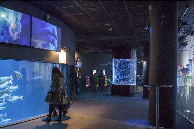 Billets d'entrée pour l'Aquarium de Paris (Paris, Île-de-France - 75) 