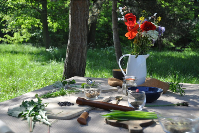 Atelier de Cuisine Sauvage pour deux (Paris, Île-de-France - 75)