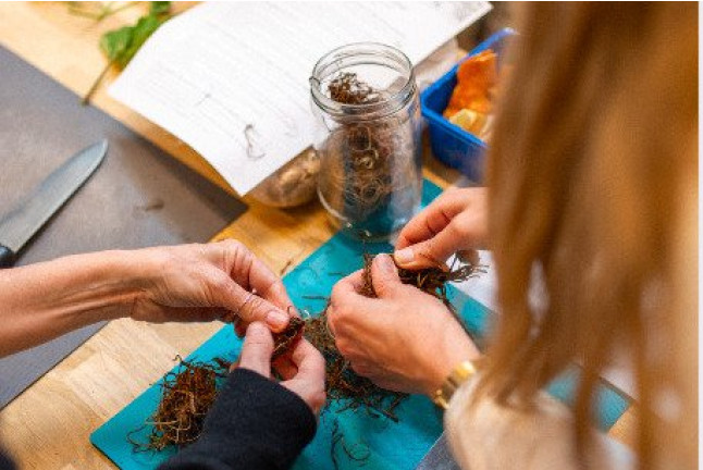 Atelier de Cuisine Sauvage pour deux (Paris, Île-de-France - 75)