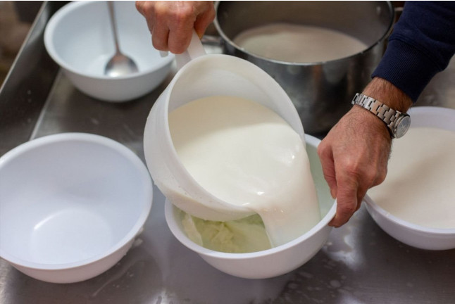 Atelier Halloumi (Paris, Île-de-France- 75)