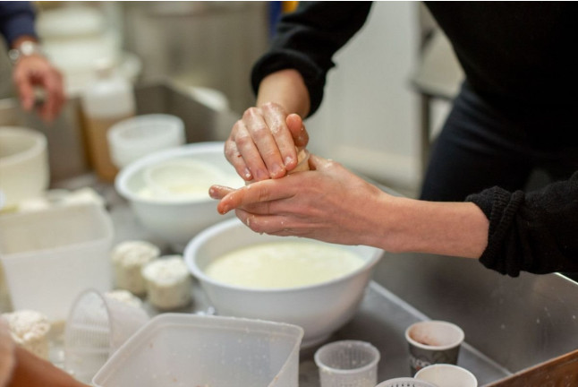 Atelier Halloumi (Paris, Île-de-France- 75)