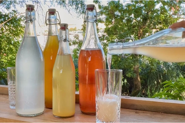 Atelier Boissons Fermentées : Kéfir et Kombucha (Bordeaux, Gironde - 33)