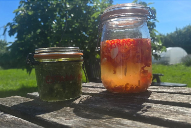 Atelier de Création de Sauces Pimentées Fermentées (Bordeaux, Gironde - 33)