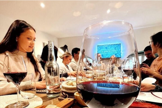 Atelier Découverte du Vignoble Bordelais en 3 Vins (Bordeaux, Gironde - 33)