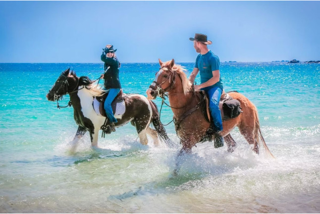 Baignade à Cheval pour Débutants (Cupabia, Corse-du-Sud - 20)