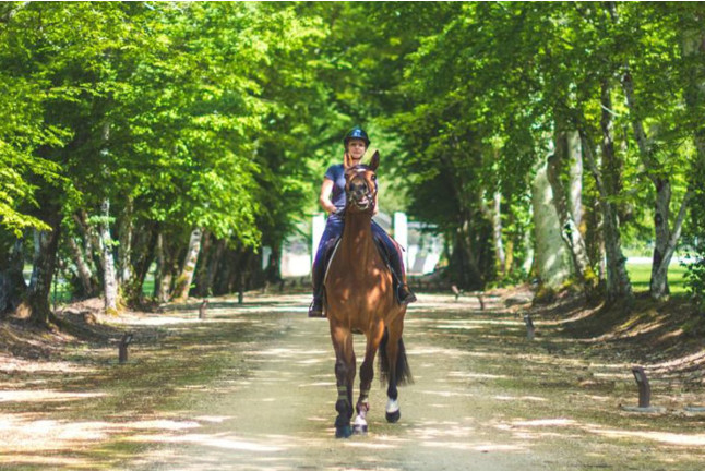 Balade à Cheval entre les Vignes Prieuré Marquet (Saint-Martin-du-Bois, Gironde - 33)