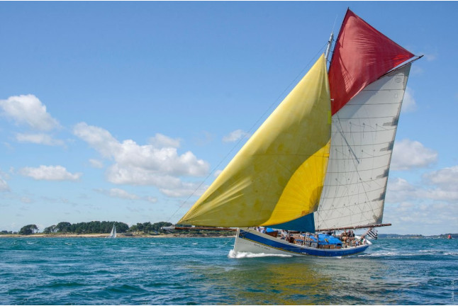 Sortie en Mer et Balade en Bateau dans le Golfe du Morbihan (Arzon, Morbihan - 56)