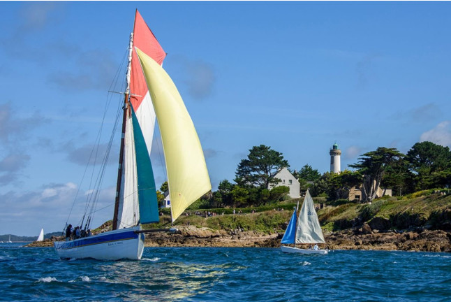 Sortie en Mer et Balade en Bateau dans le Golfe du Morbihan (Arzon, Morbihan - 56)