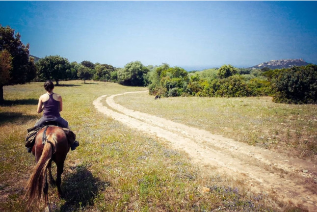Rando Fermière : Balade à Cheval dans la Vallée de l’Ortolo (Sartène, Corse-du-Sud - 20)