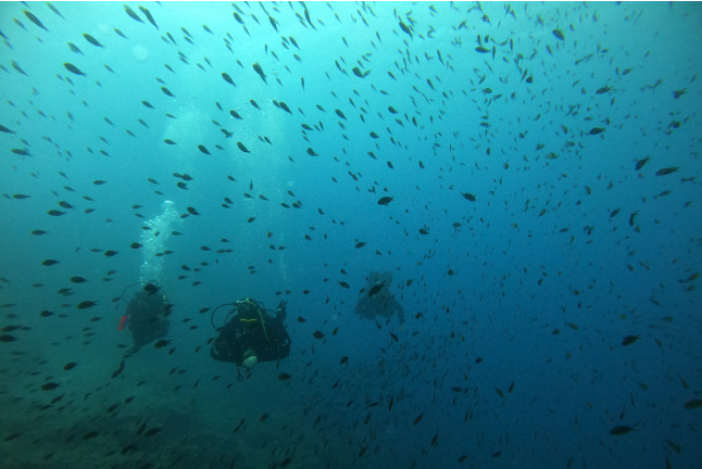 Baptême de Plongée Sous-Marine en Mer Méditerranée (Fréjus, Var - 83)