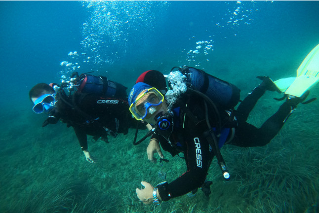Baptême de Plongée Sous-Marine en Mer Méditerranée (Fréjus, Var - 83)