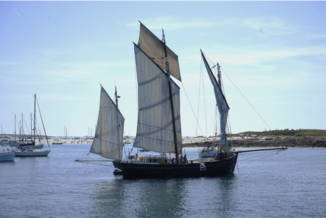 Excursion en Voilier d'une Journée À la découverte des Glénan (Concarneau, Finistère - 29)