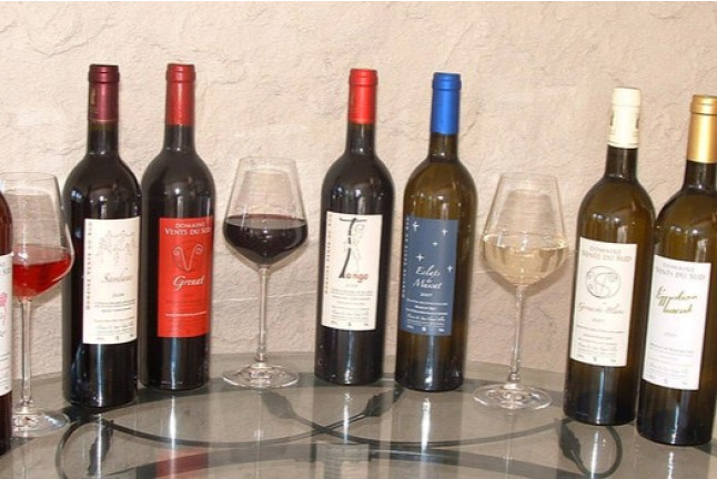Visite de Vignobles, Dégustation de Vins et Assiette Gourmande (Vingrau, Pyrénées-Orientales - 66)