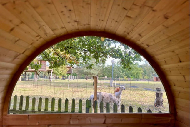 Séjour Insolite en Cabane dans les Arbres “TOI ET MOI”, Accès au Spa Norvégien et Massage Californien / Ayurvédique (Fère-en-Tardenois, Aisne - 02)
