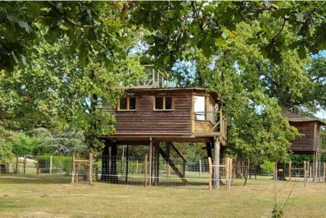 Séjour Insolite : Nuit en Cabane Perchée dans les Arbres avec Massage Californien ou Ayurvédique (Fère-en-Tardenois, Hauts-de-France - 02)
