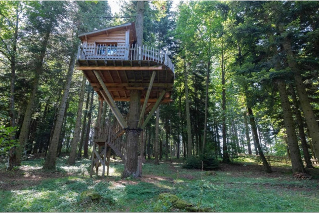 Séjour Insolite : Nuit en Cabane “RENARD” Perchée avec Petit-déjeuner et Spa (Belsentes, Ardèche - 07)