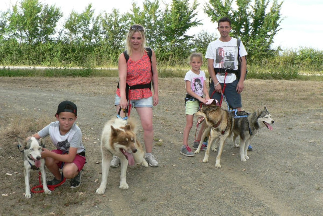 Cani-Randonnée avec des chiens nordiques (Chênehutte, Maine-et-Loire - 49)