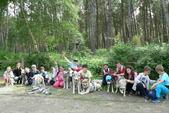 Cani-Randonnée avec des chiens nordiques (Chênehutte, Maine-et-Loire - 49)
