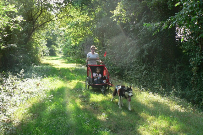 Cani-Randonnée avec des chiens nordiques (Chênehutte, Maine-et-Loire - 49)