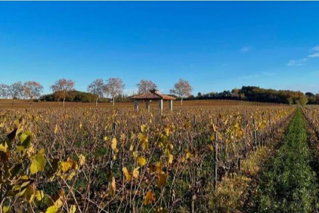 Dégustation de Vins et Assiette gourmande pour deux (Vingrau, Pyrénées-Orientales - 66)
